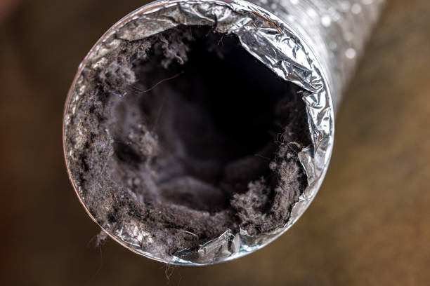 Best HVAC System Cleaning  in Rkesburg, PA